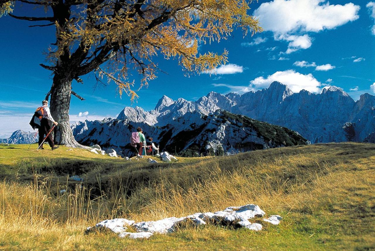 Kronau Chalet Resort Kranjska Gora Esterno foto